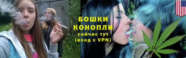 гашик Лагань