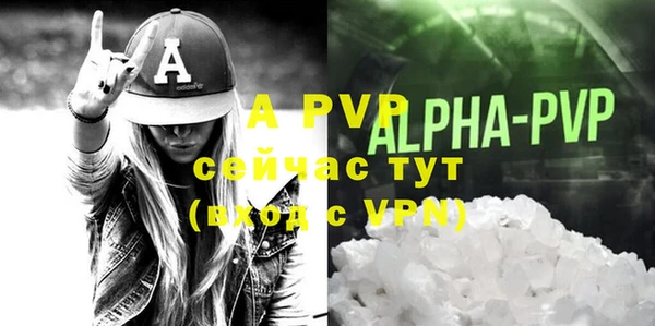 шишки Краснотурьинск
